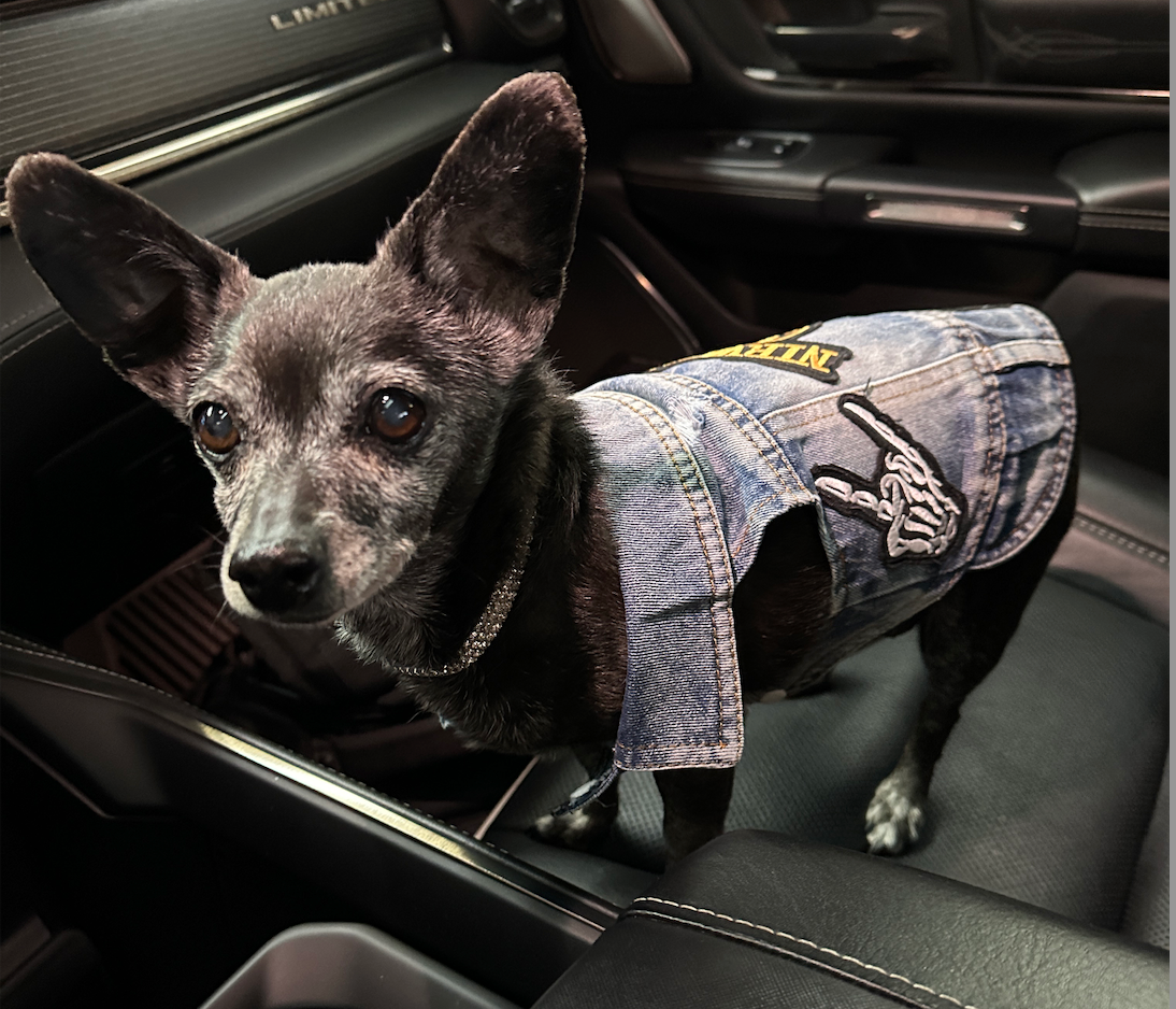 Rockstar Denim Vest